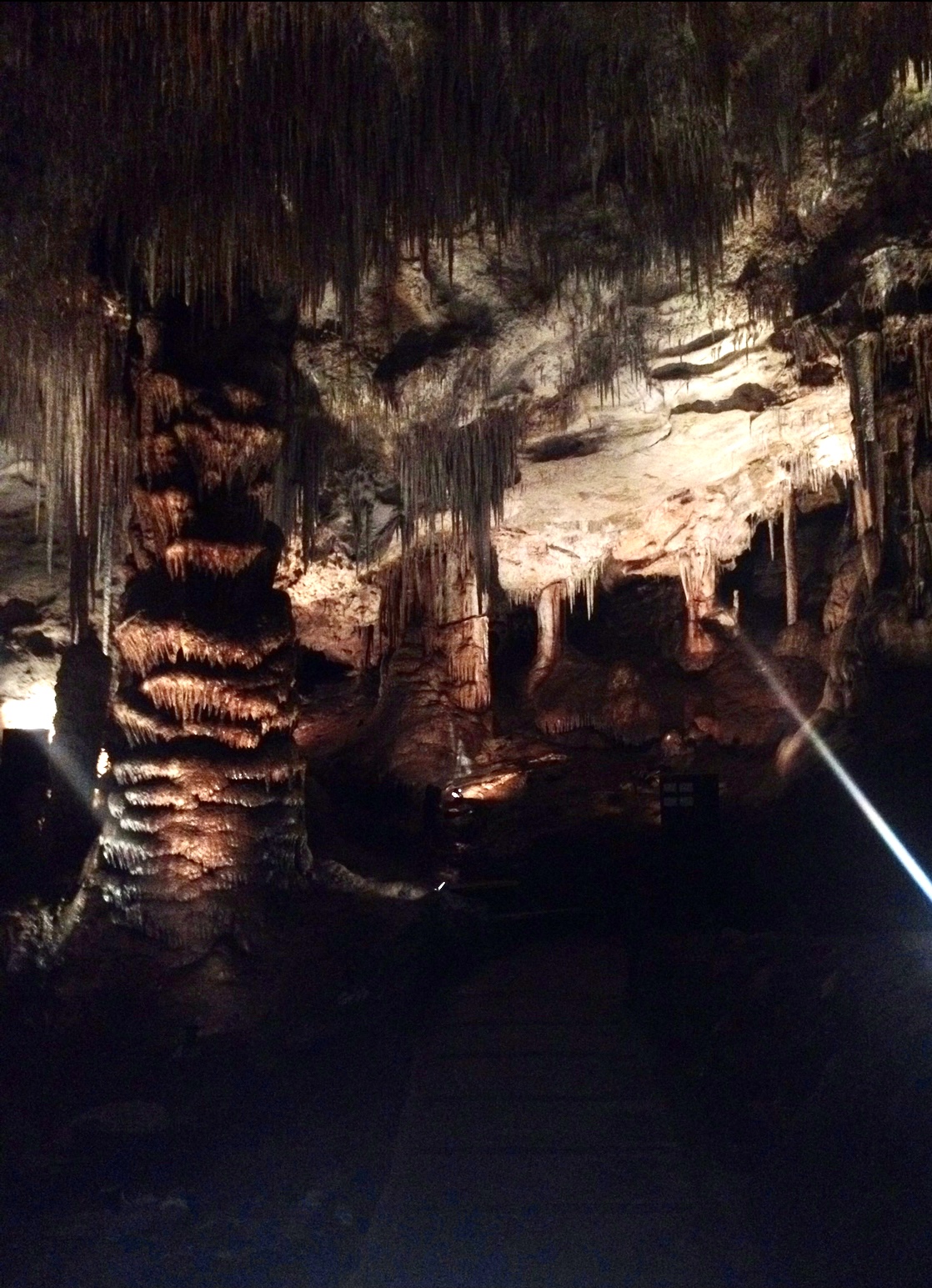 Tantanoola Caves Conservation Park