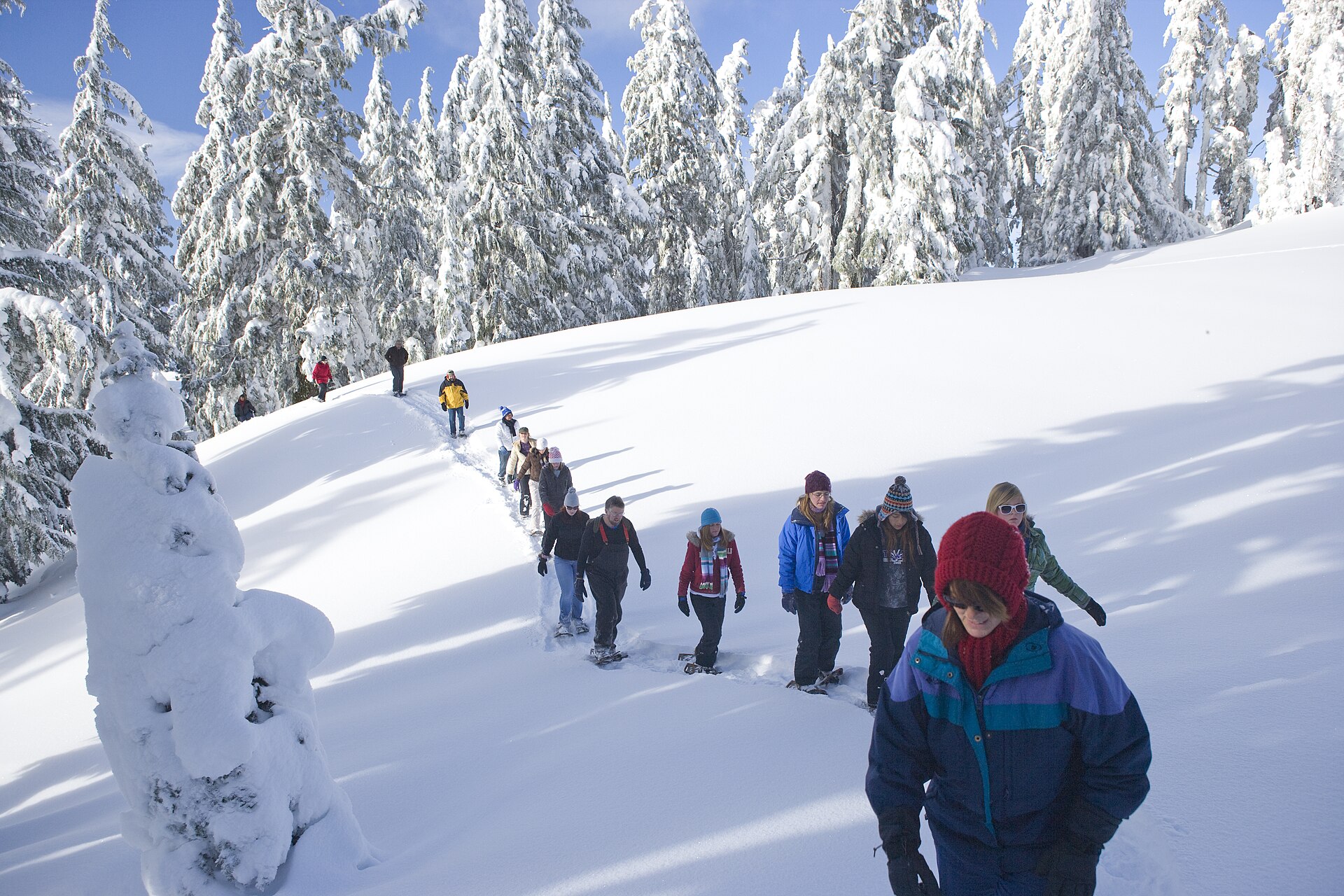 Crater Lakes Walk