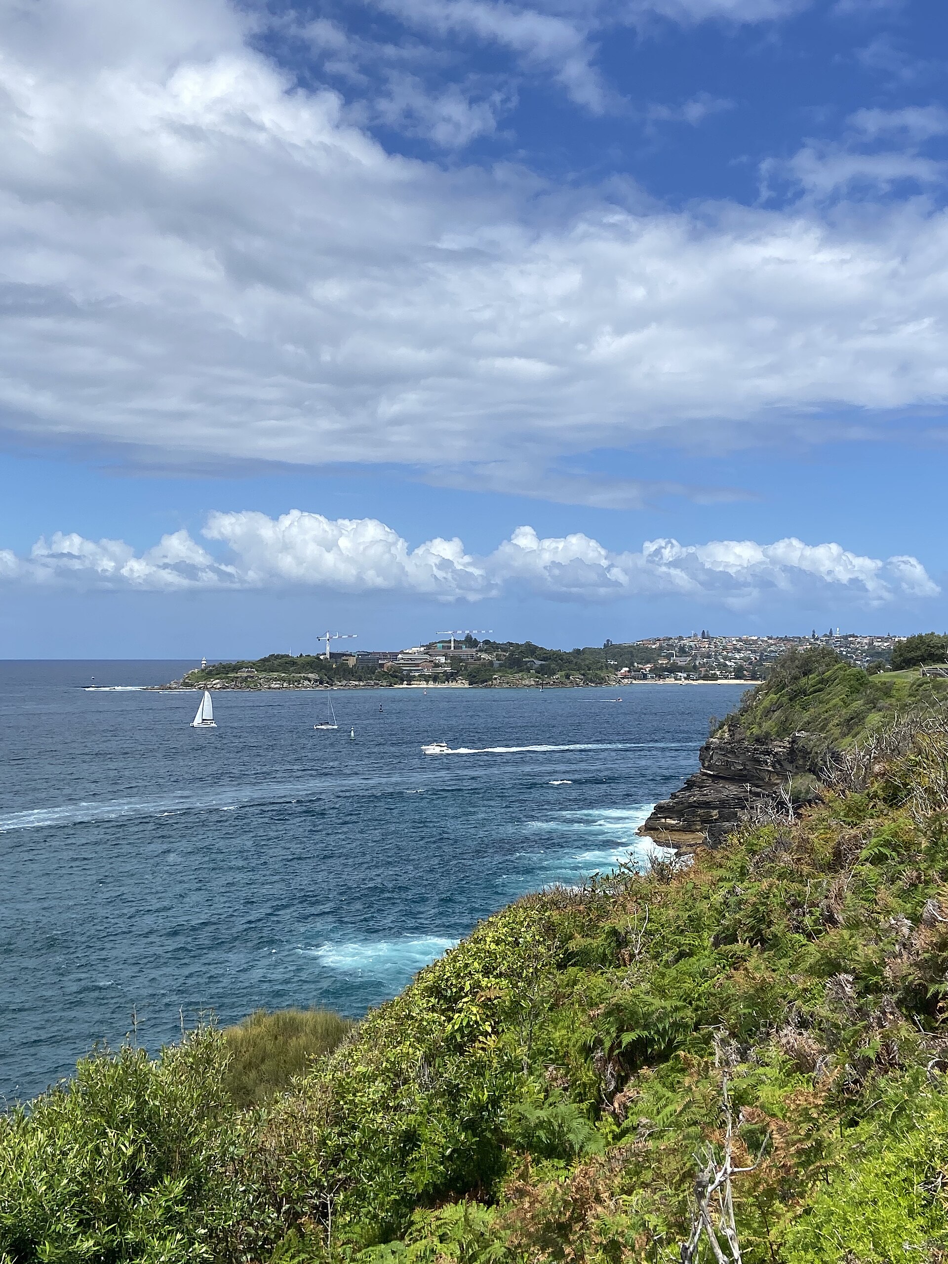 Beacon Hill Lookout