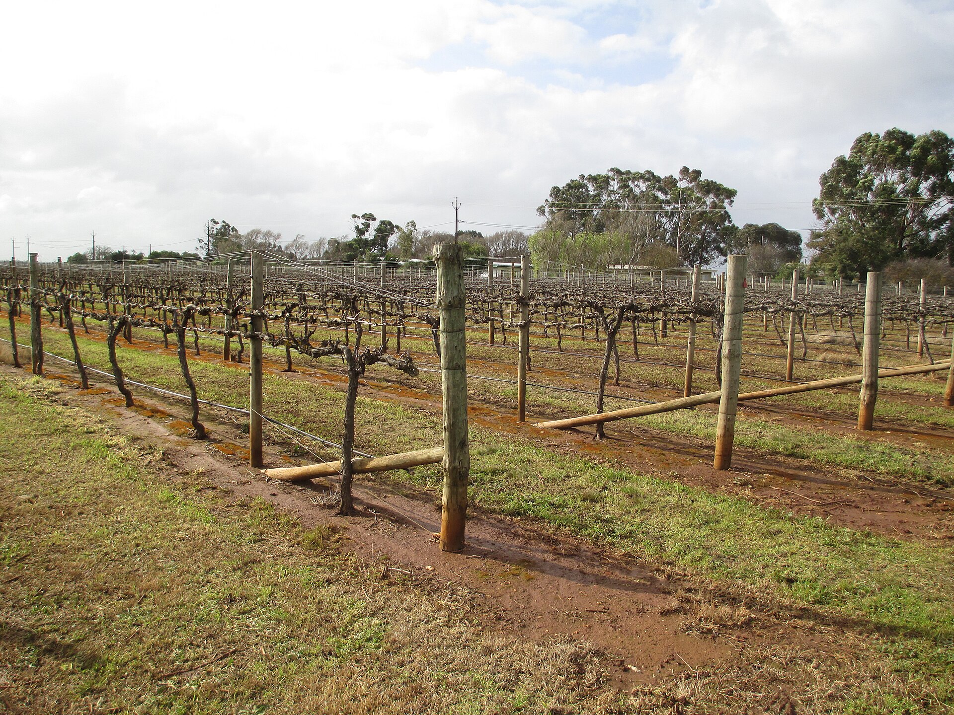 Hollick Estates
