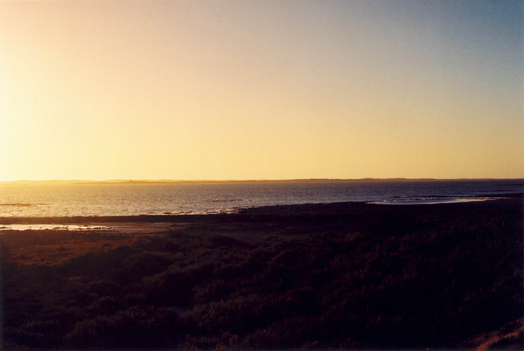 Coorong Lookout (Kingston SE)
