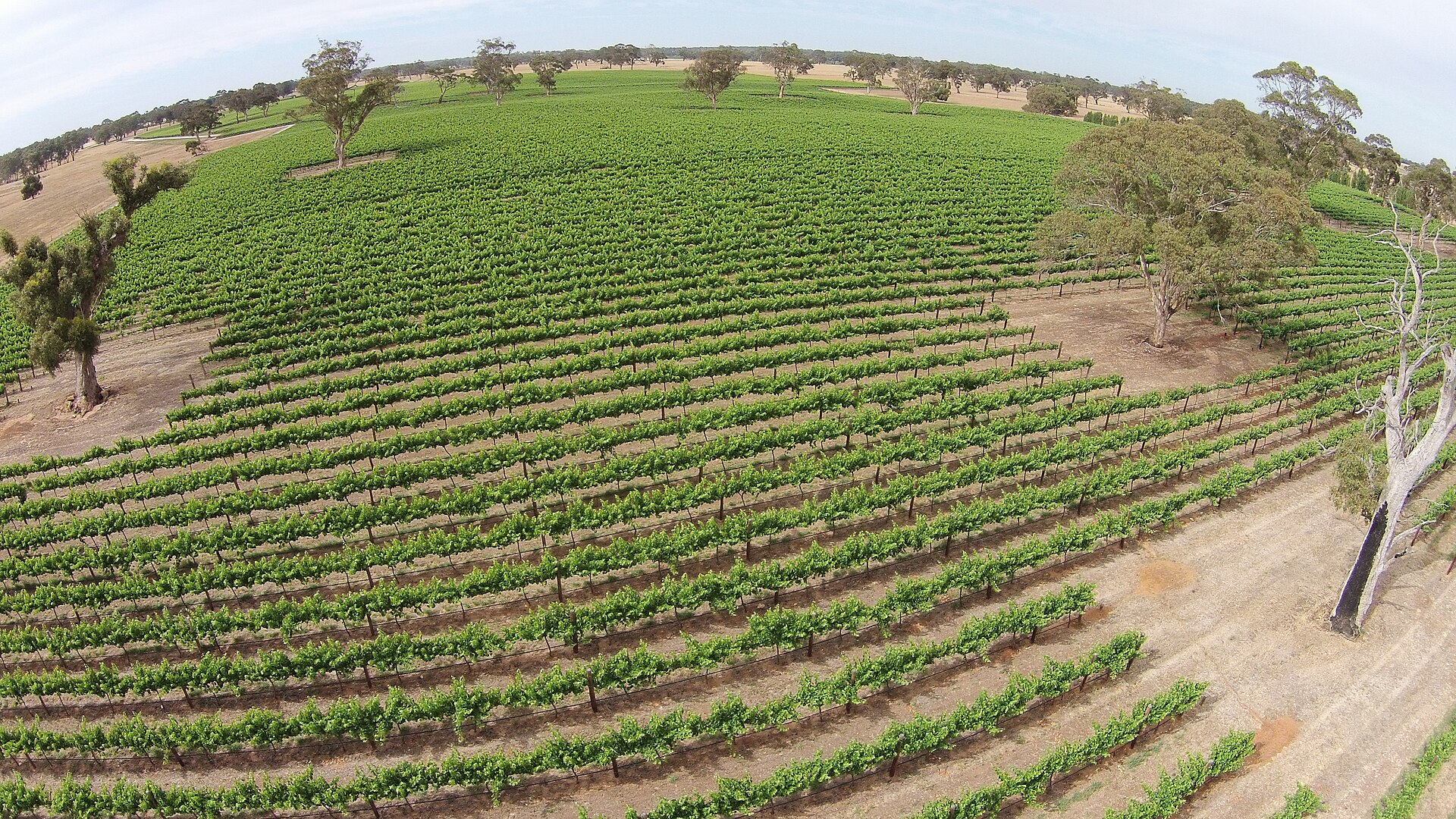 Wrattonbully Wine District